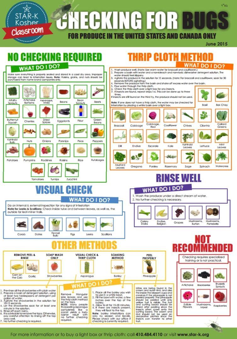 Visual Check Protocols
